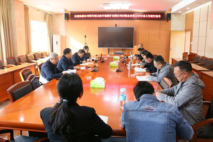龙8头号玩家(国际)官方网站（煤化）集团总经理助理、改革办主任陈家昆一行到云南羊场煤矿有限公司开展国企改革三年行动督导调研