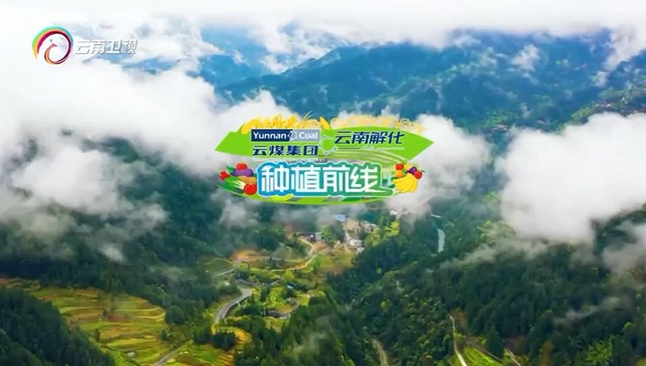 【聚焦龙8头号玩家(国际)官方网站】云南卫视专题播报：护航春耕 解化当先
