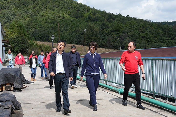 云南省国资委党委委员、副主任夏丽坤一行到龙8头号玩家(国际)官方网站集团所属恩洪煤业公司开展现场督导调研