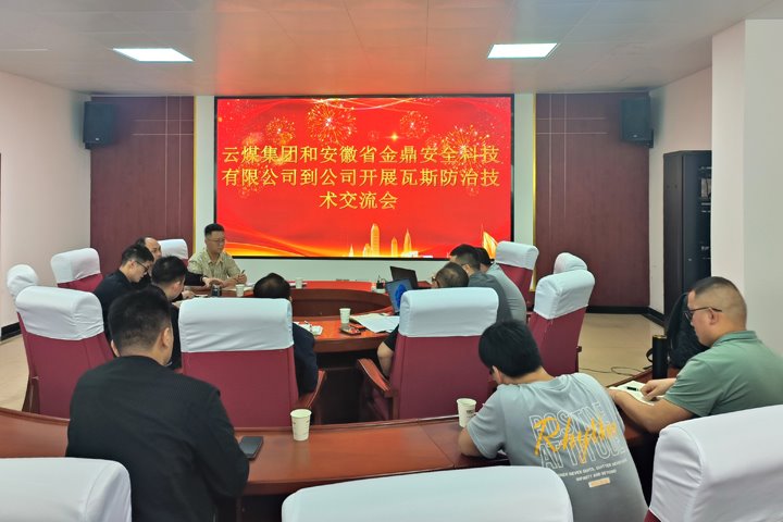 龙8头号玩家(国际)官方网站集团联合安徽省金鼎安全科技公司到恩洪煤业公司开展“科技强安”瓦斯防治专题研讨